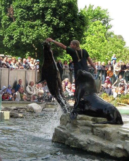 Schönbrunn - kühles Nass :-)