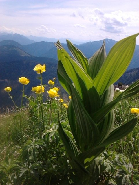 So schön sind Österreichs Ötschergräben... :D