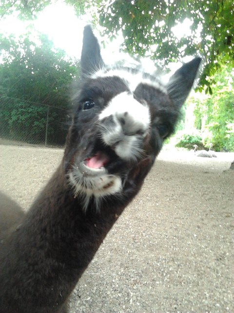 Häää, was geht den hier ab ???