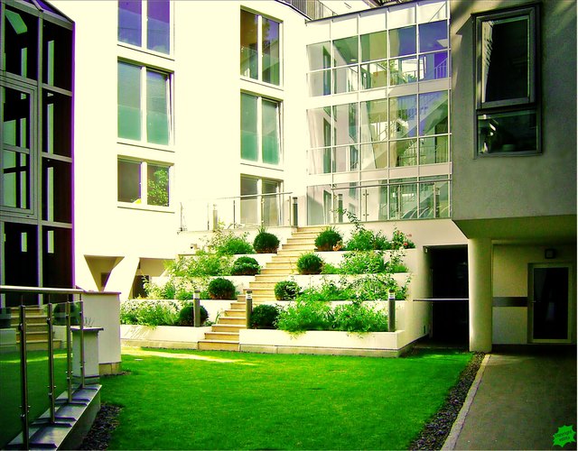 Sommer auch im Hinterhof