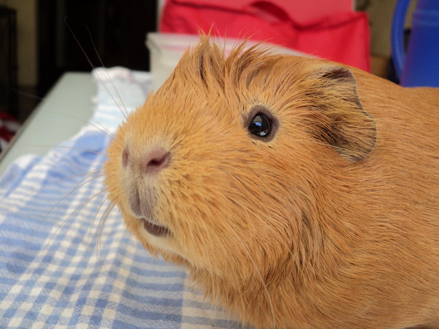 Sommer, Sonne, Sonnenschein... ;-)