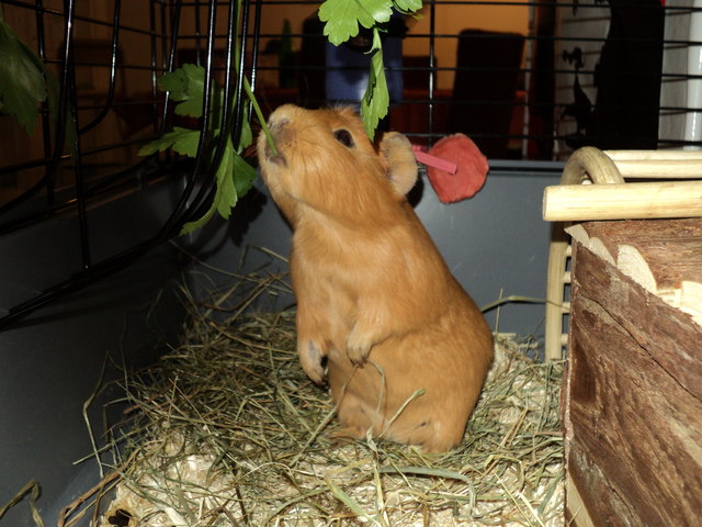 Gleich hab ich dich... :D