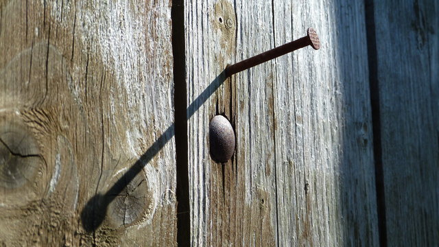 Wounded wood - in 1080 Wien