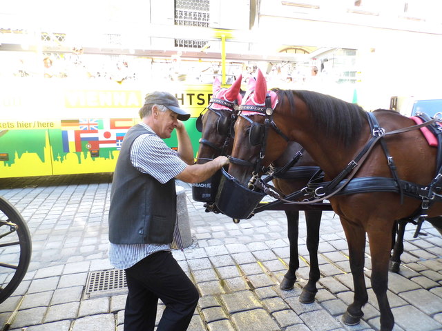 Rast für Mensch und Tier nach einer Fuhre