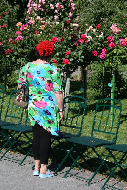 Der Rosenduft im Volksgarten