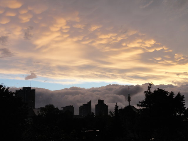 wien hat das coolste wetter