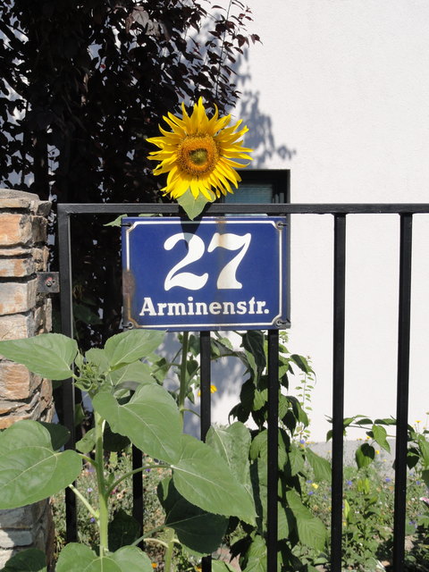 im 22. Bezirk lachen die Sonnenblumen dir entgegen