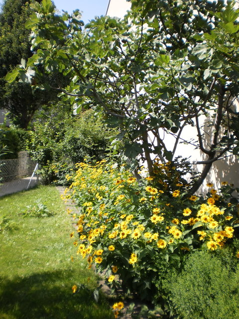 Home sweet home - Wien 11