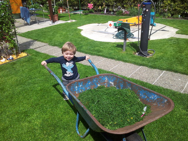 migel bei der arbeit 