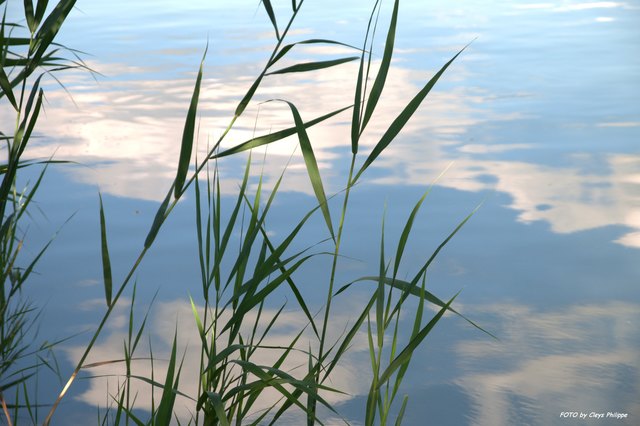 Verspiegelung am Wienerberg