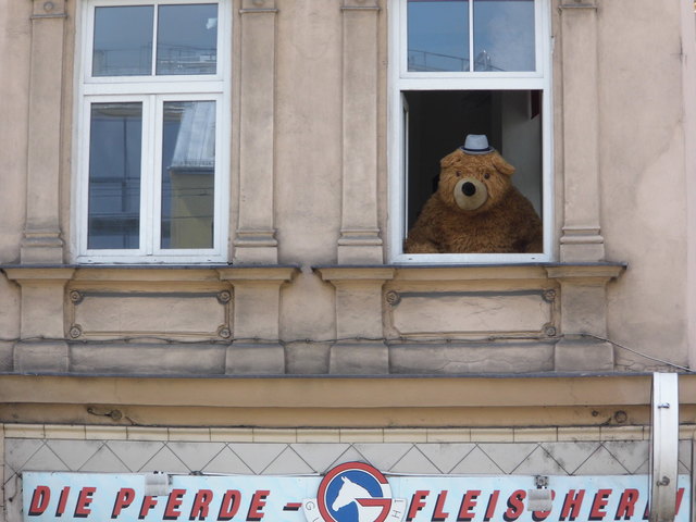 Der einsame Fensterbär von der Gumpendorfer Straße