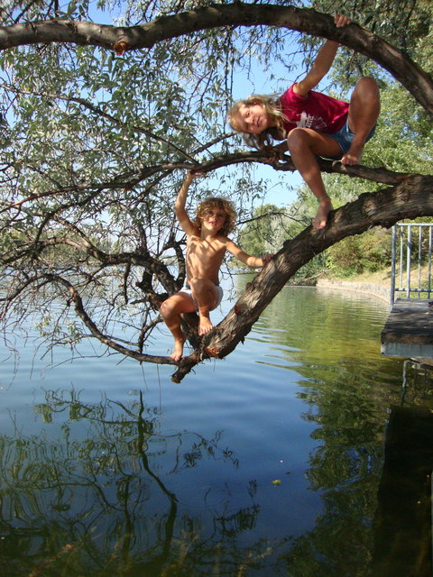 und immer wieder die Alte Donau...