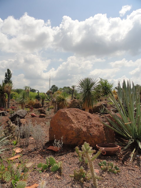nicht Texas!!! Hirschstettner Blumengarten!!!