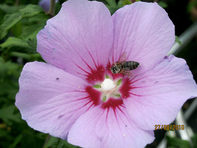 ein Sommer für Alle