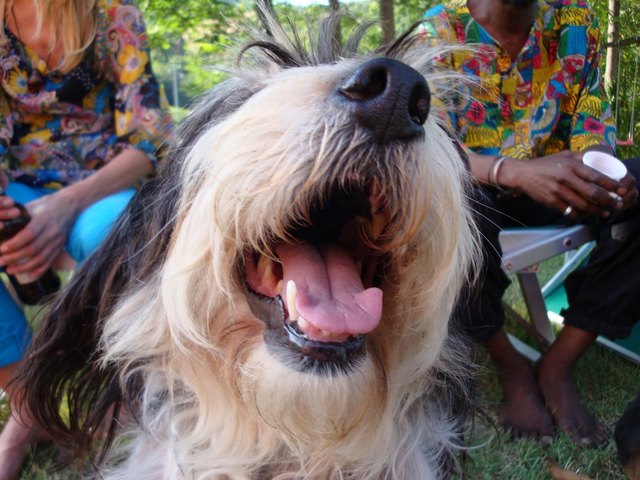 alle lieben sommer!!