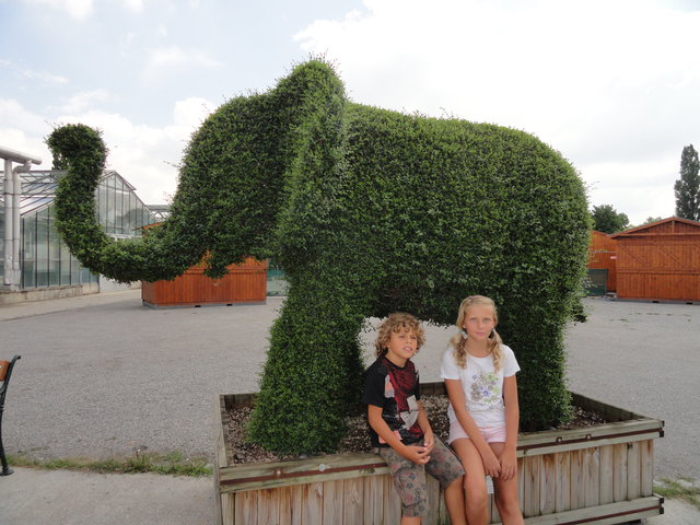 grüner Elefant im Hirschtettener Garten