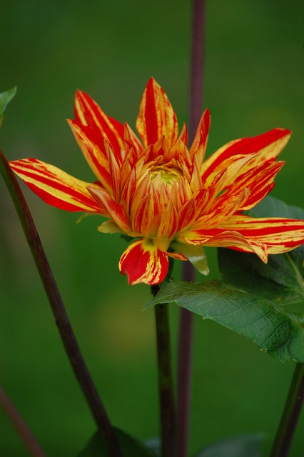 Eindlich alles Bunt!