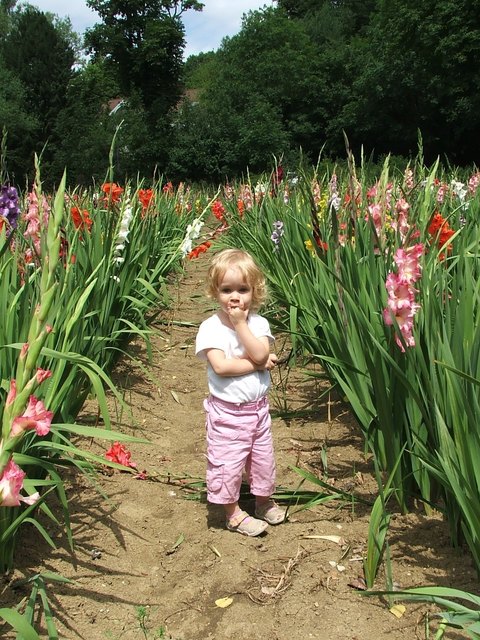 Jasmin und die Blumen