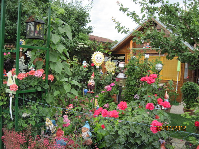 Sommer im Schrebergarten