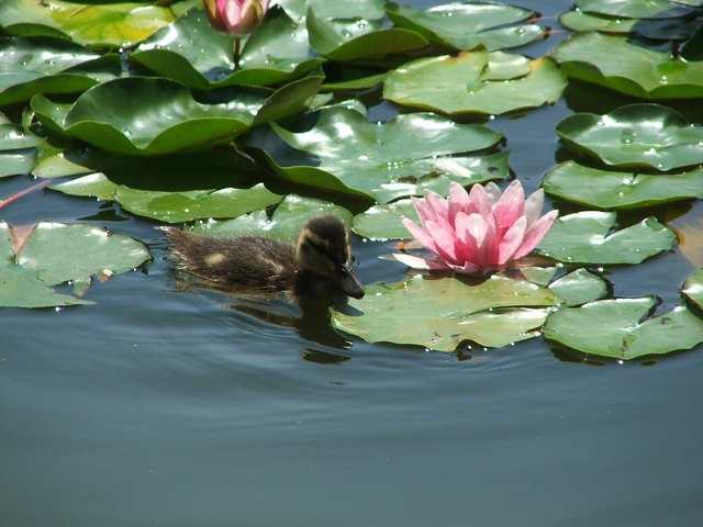 Alle meine Enchen... :o)