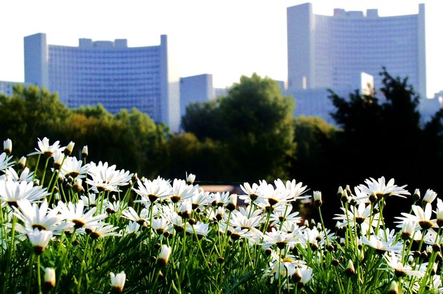 Wien - Donaupark (UNO-City)