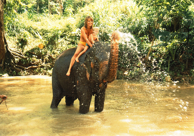 Biologische Jungeldusche