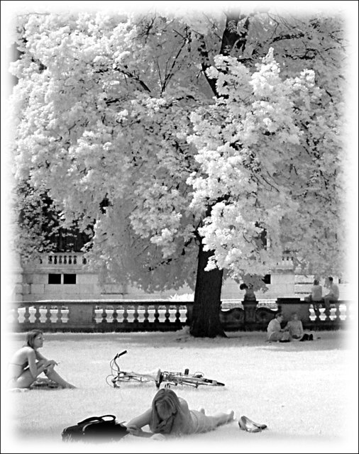 Sommer im Burggarten in Infrarot