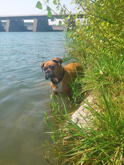 Urlaub in der STADT...dass liebt Bella-Lilli am meisten...! Danach zum Heurigen - zum Beispiel nach Langenzersdorf, oder Bisamberg..herrlich entspannend!