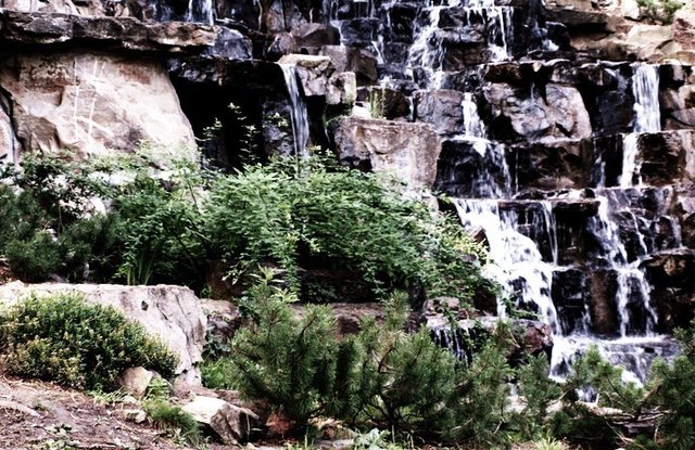 Wasserfall mitten in der Stadt (Türkenschanzpark)