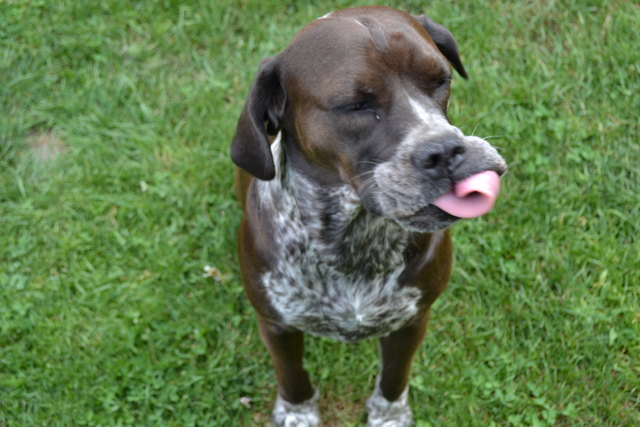 Sabrina hat unsere Amy beim pfeifen erwischt!