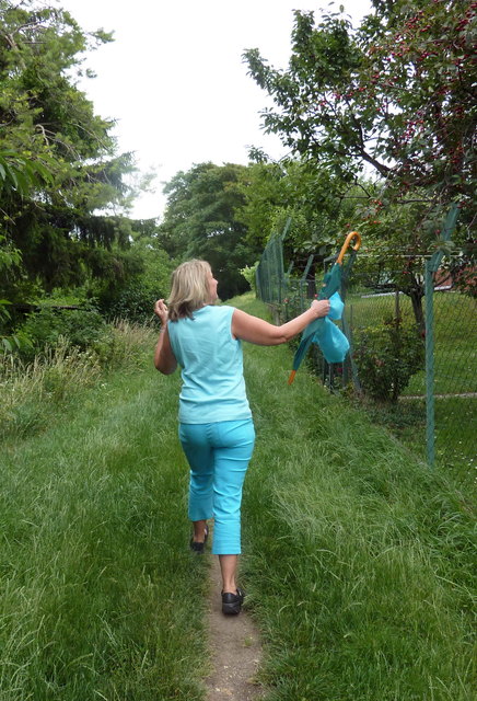 schau  die leckeren Kirschen