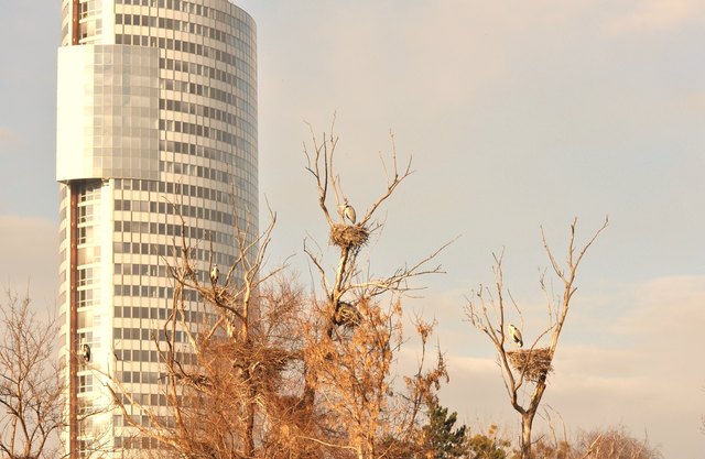 Wien und Natur - so nah.Wasserpark