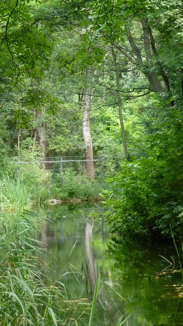 Bibergehege - Nationalpark