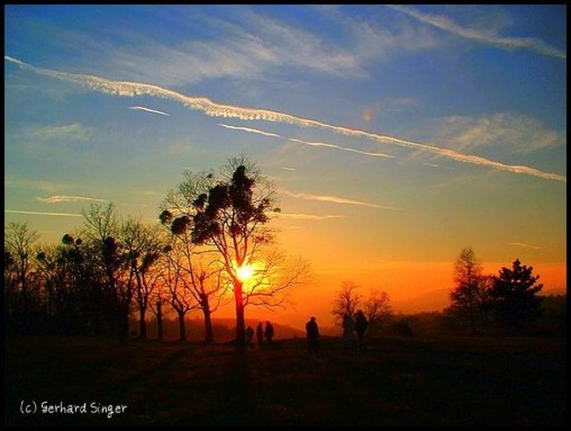 Abendlicht in den Steinhofgründen