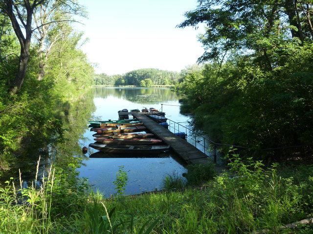 schönes Platzerl in der Lobau