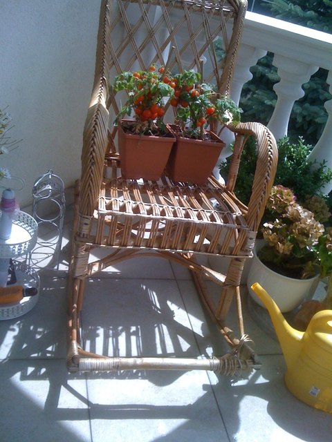 Denn Sommer auf die Terasse holen und geniessen