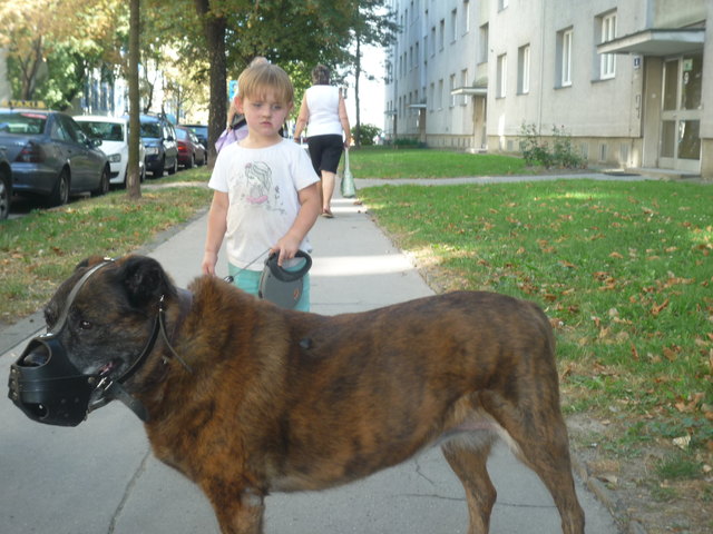 ...alles nur erziehung...