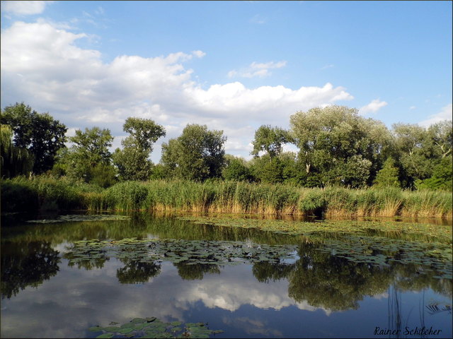 Idylle mitten im Wiener Donaupark