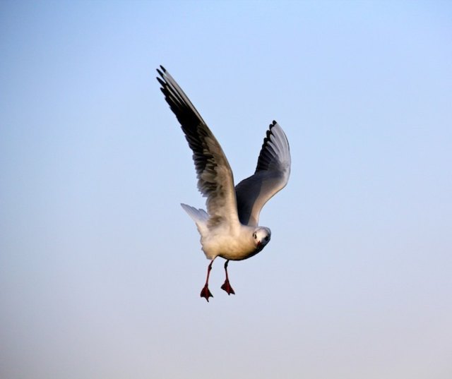 Relaxen pur auf der Donauinsel