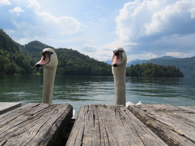 Schau mer mal was da oben los ist.