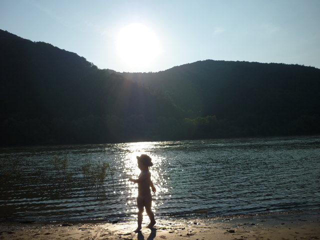 Sonnenuntergang an der Donau