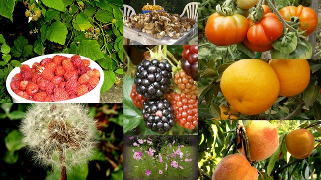 was mir der Sommer alles bringt