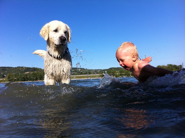 Plantschen in der Donau