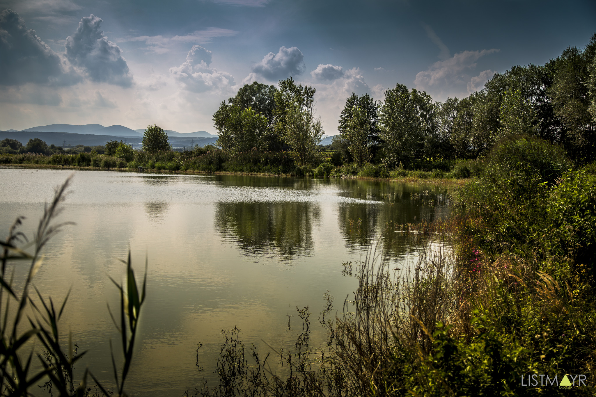 Foto Tour Teich in Schönau Baden