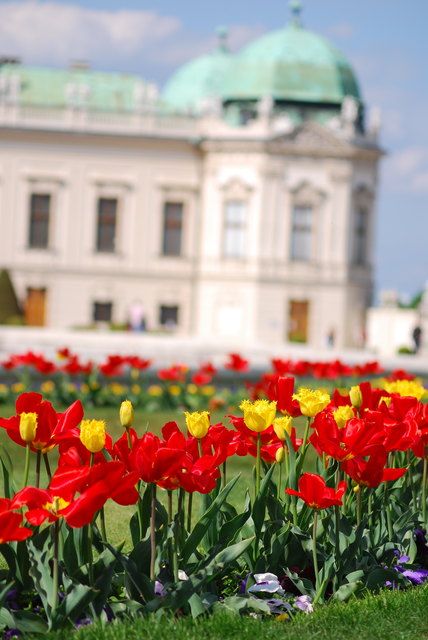 Der Sommer des Jahres