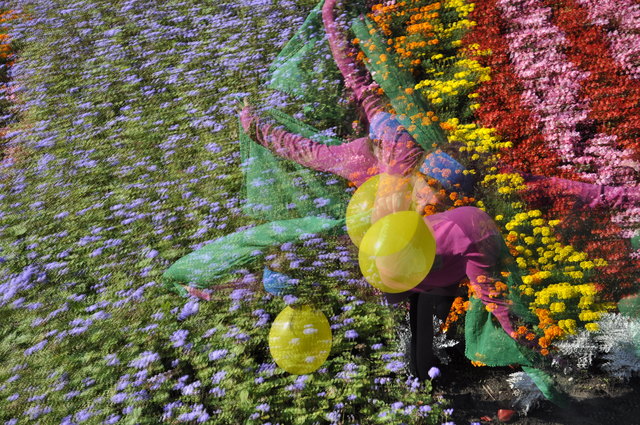 Farbentanz im Donaupark