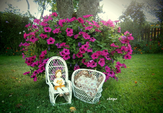 Sommer, Sonne, Blumen, Ferien