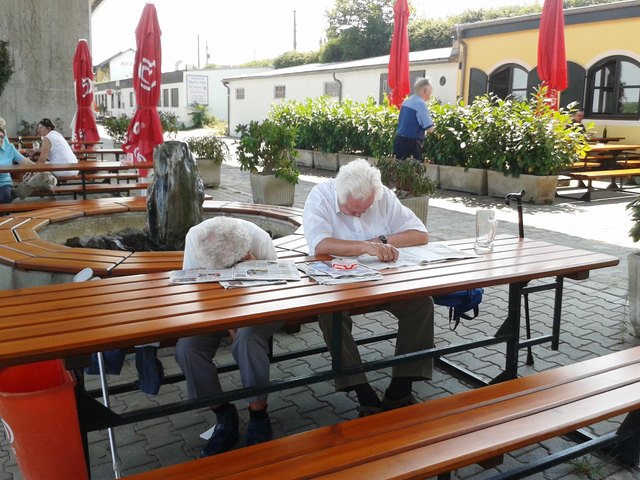 Zu Mittag auf der Donauinsel