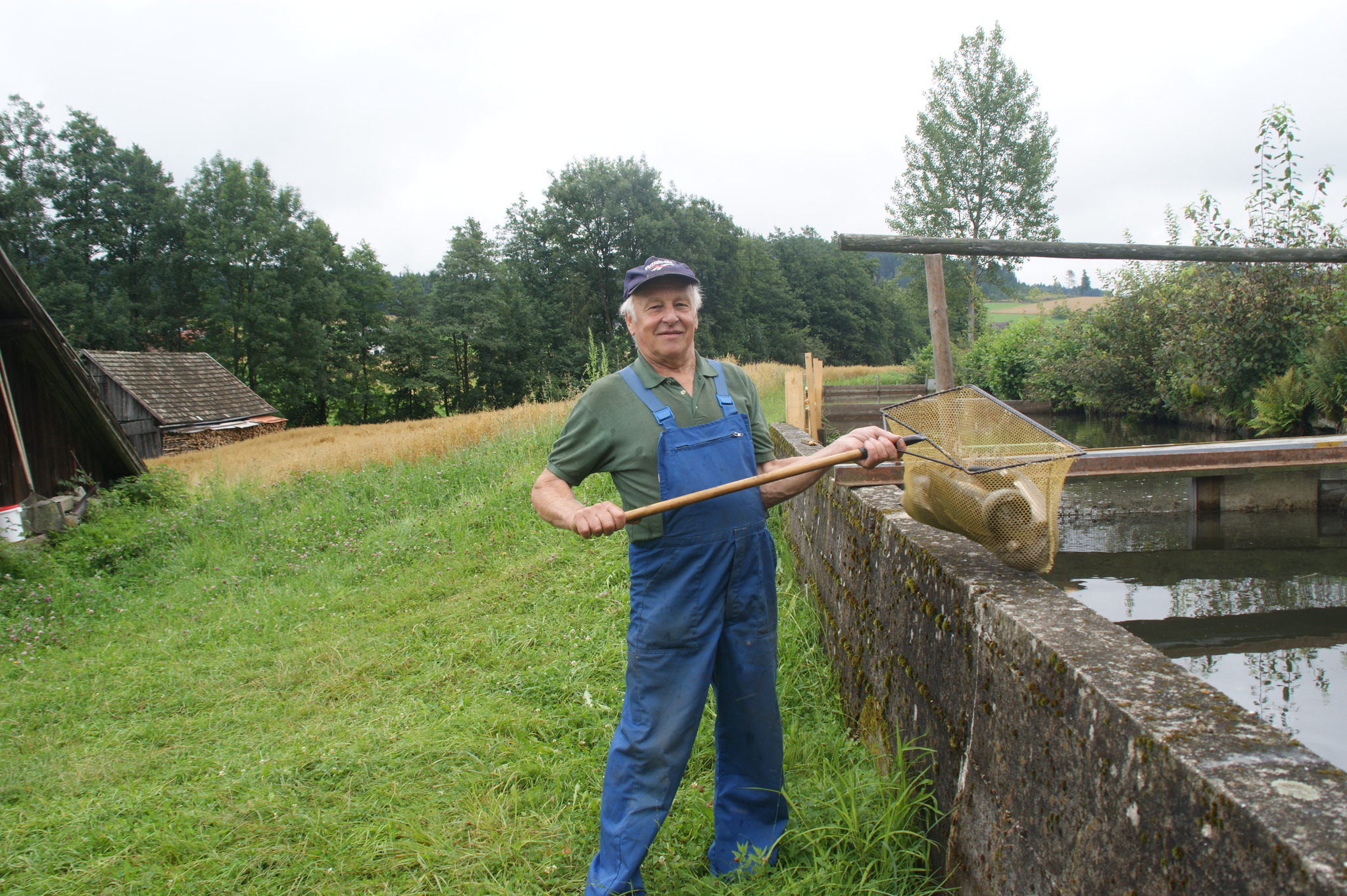 Fischotter frisst Teiche leer UrfahrUmgebung
