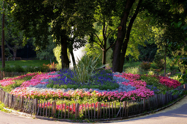 Sommer in Türkenschanzpark Wien Währing